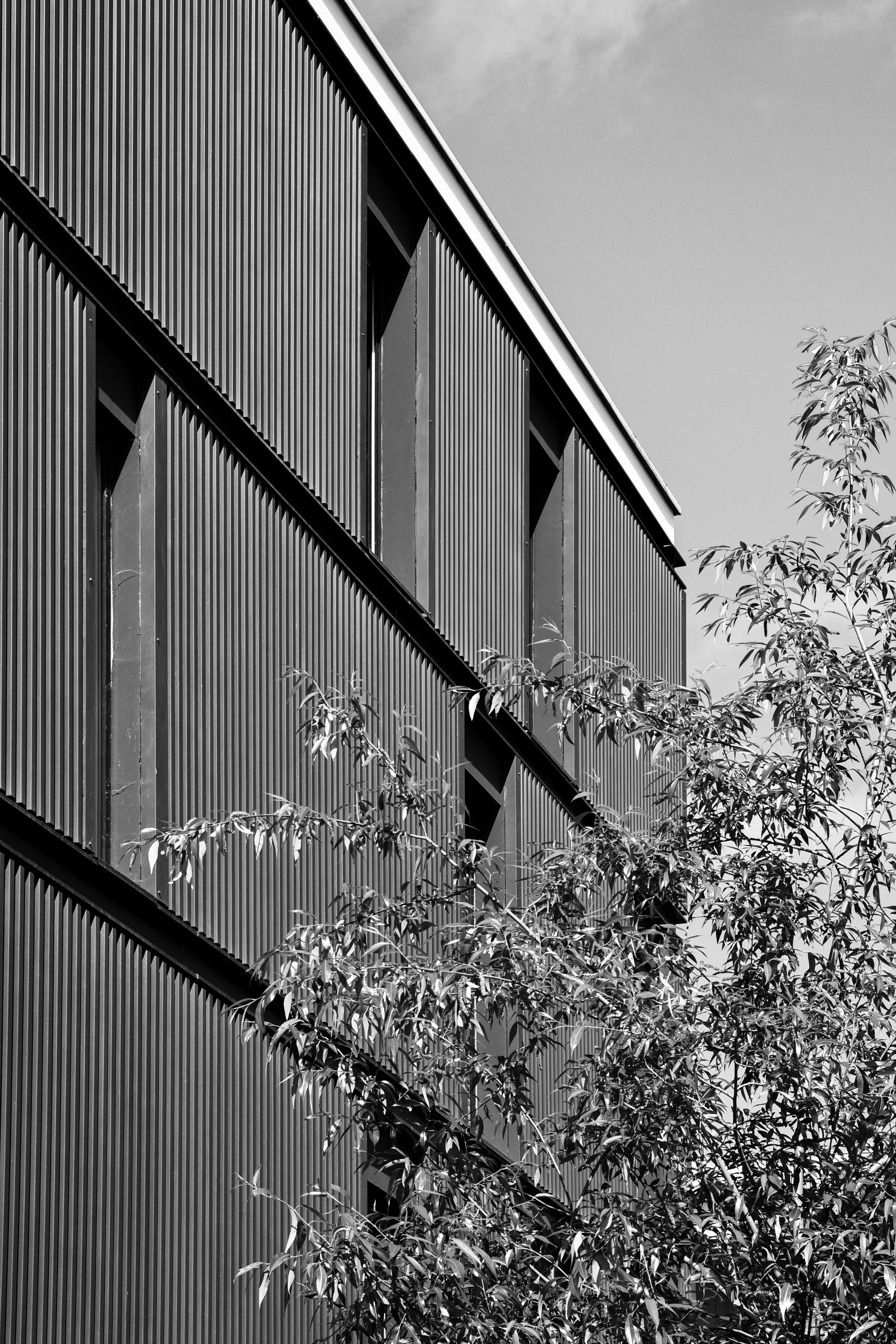 Ariaké • Lot A5b Vidailhan