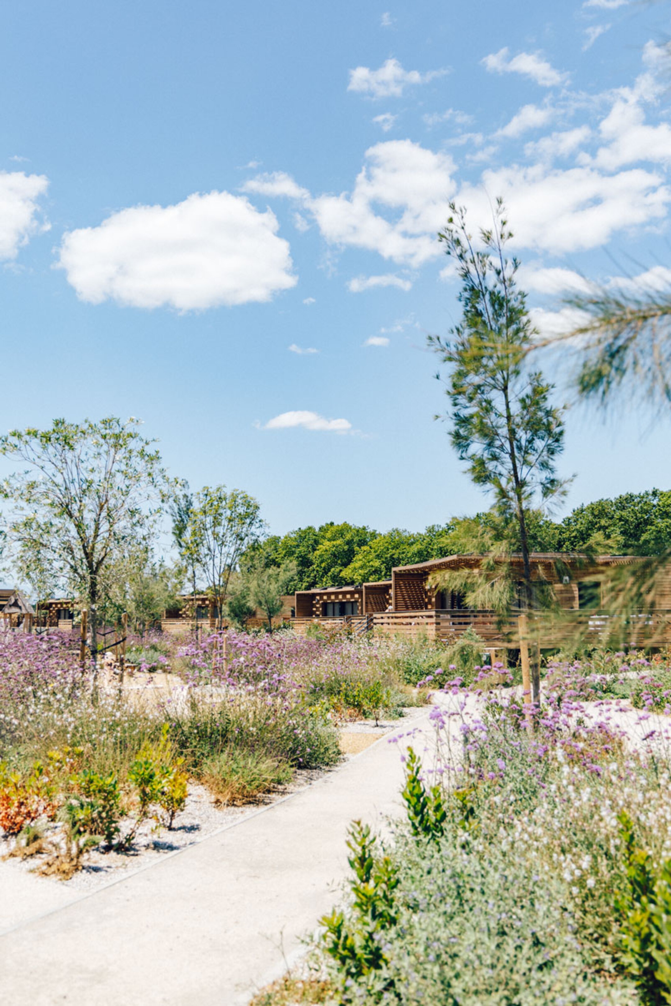 Domaine Golfe Du Lion