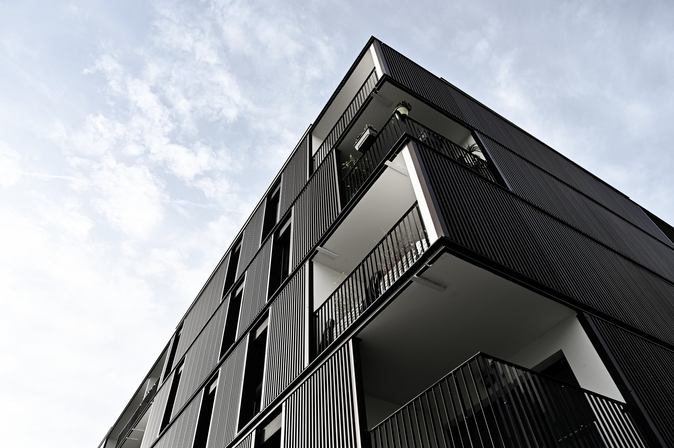 Ariaké • Lot A5b Vidailhan