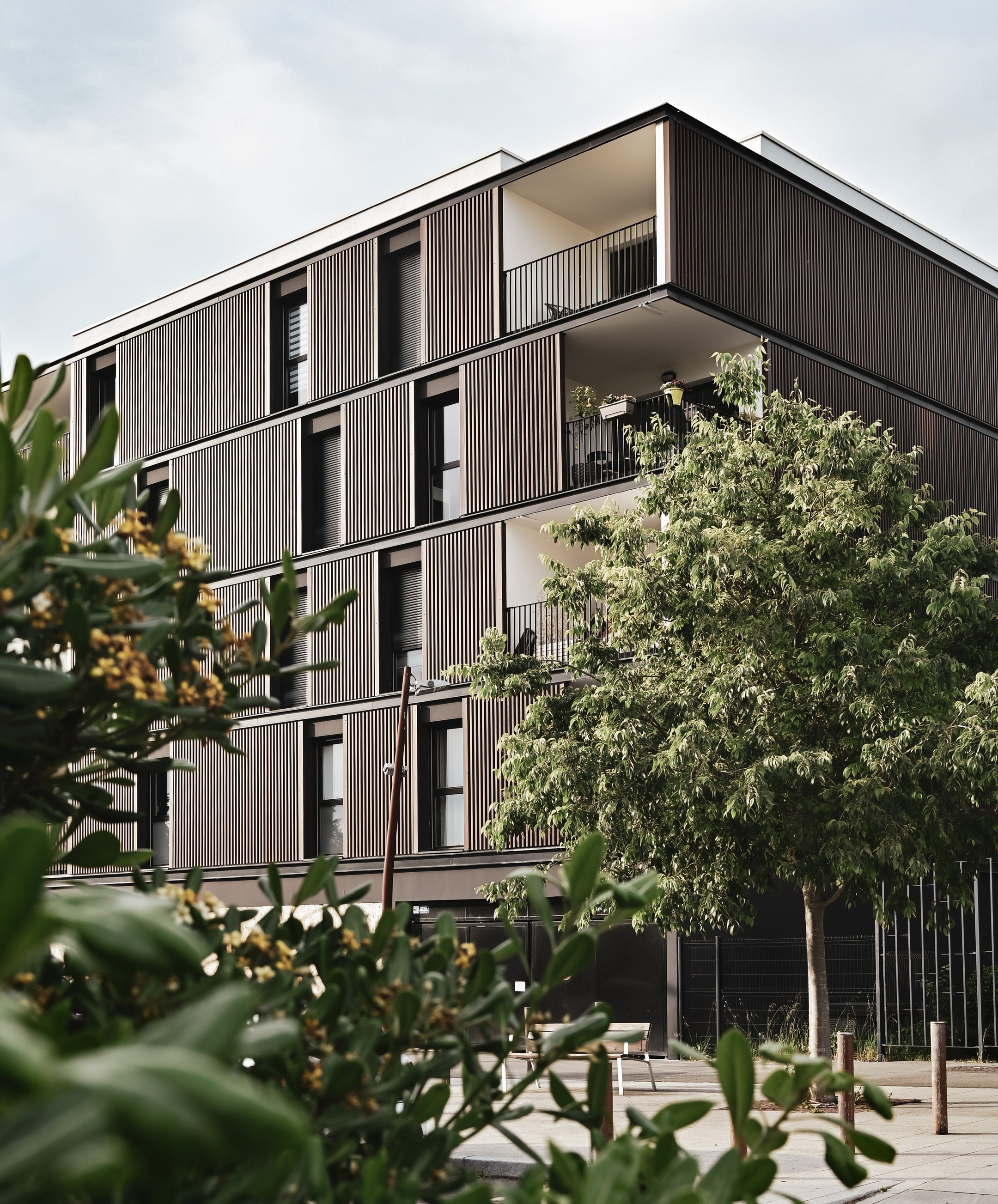 Ariaké • Lot A5b Vidailhan
